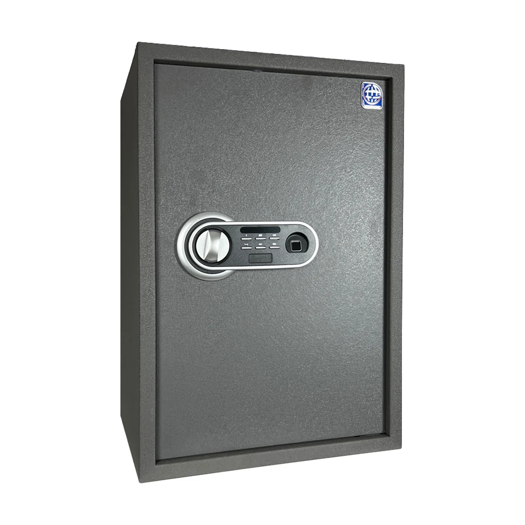 LG Safe 60 FPC خزنة إلكترونية - رمادي
