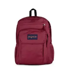 JANSPORT Union Pack Russet Red Backpack