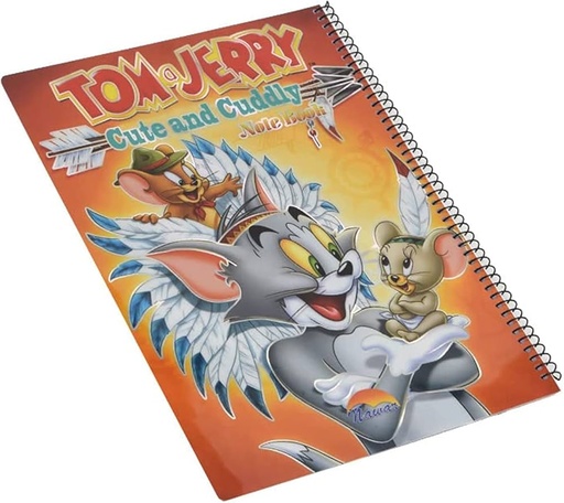 كشكول 100 ورقه مسطر غلاف بلاستيك  ديزنى  A4