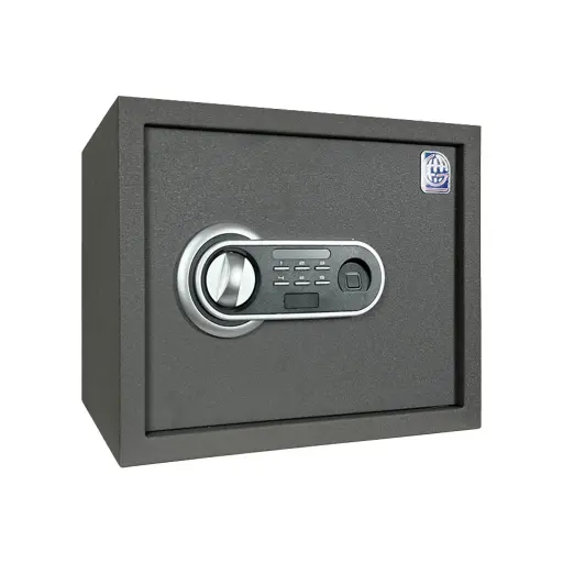 خزنة منزلية LG Safe 30 FPC – رمادي
