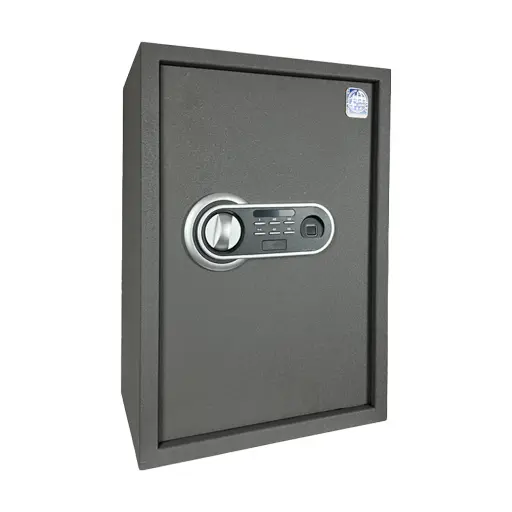 LG Safe 50 FPC خزنة إلكترونية - رمادي