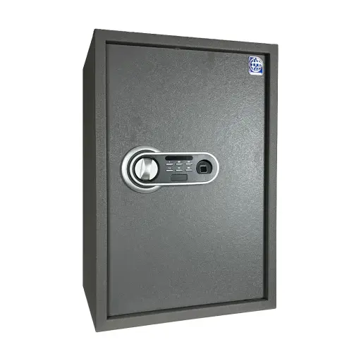LG Safe 60 FPC خزنة إلكترونية - رمادي