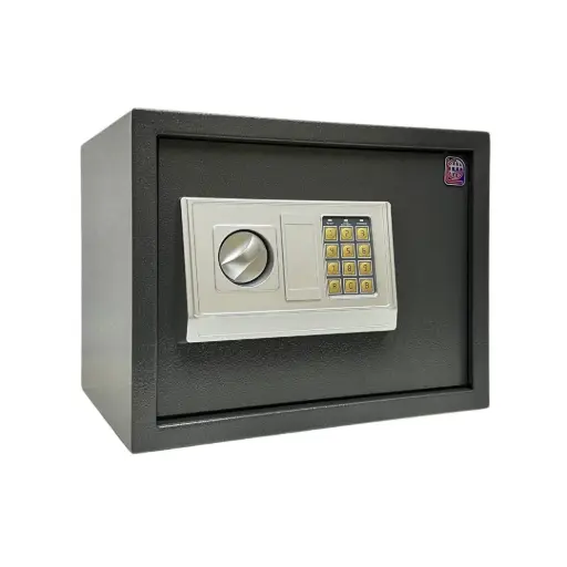 خزنة منزلية LG Safe 30 EA – رمادي