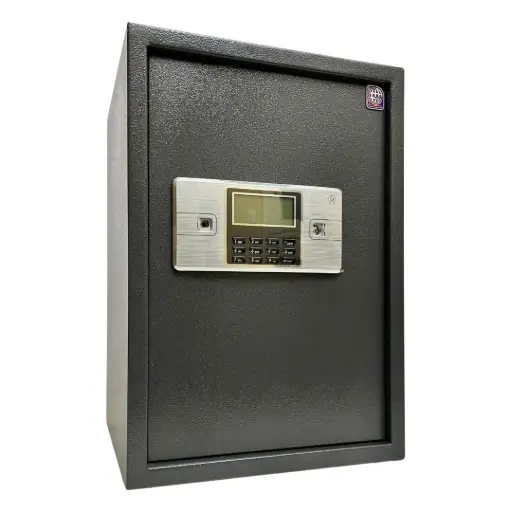 LG Safe 50 ALC خزنة إلكترونية - رمادي